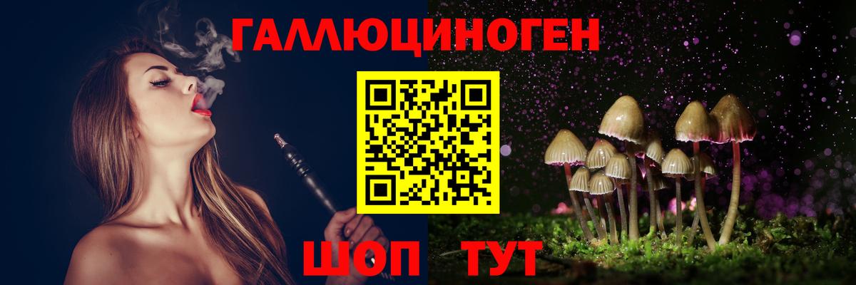 Ставрополь  Галлюциногенные грибы Psilocybe  Вход с VPN 
