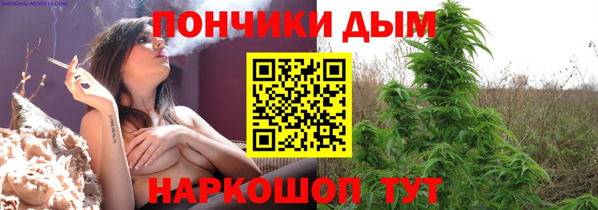 Бошки Шишки OG Kush Ставрополь